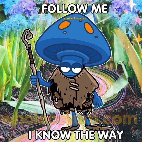 Follow Me