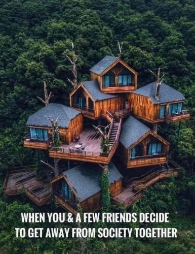 Friends