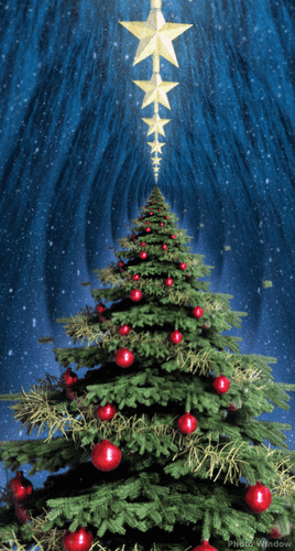 Christmas tree forever