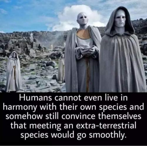 Humans