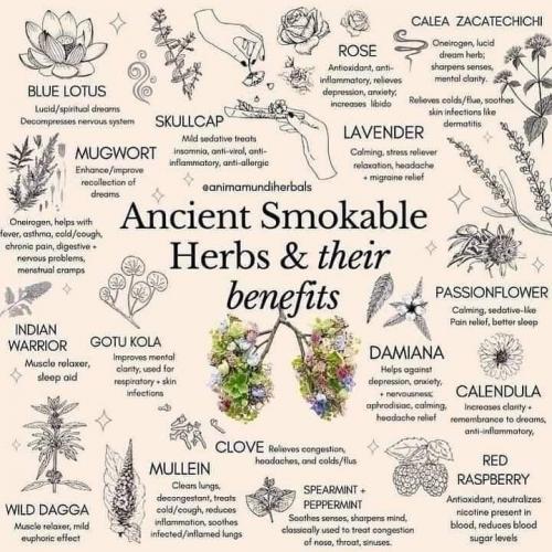 Herbs to smoke