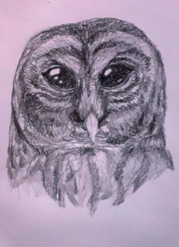 Owle - Copy (2)