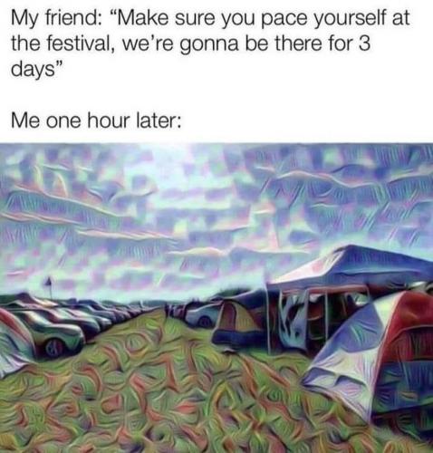 Festie