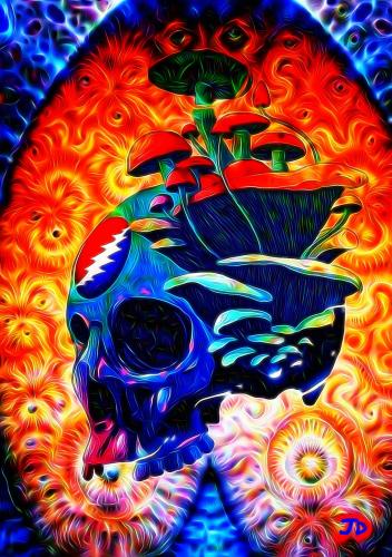 by Jim Dailey