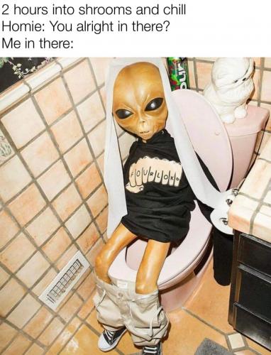 Dude