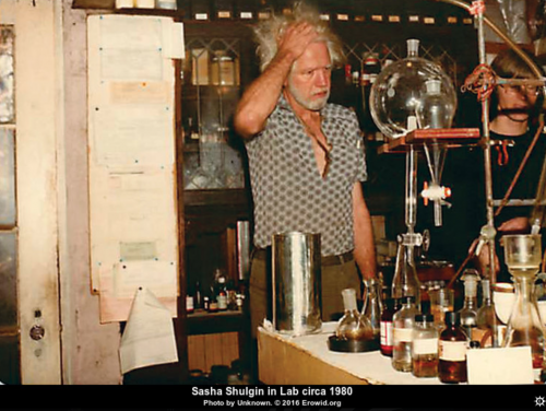 Sasha Shulgin