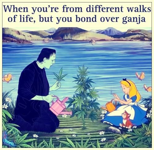 Ganja