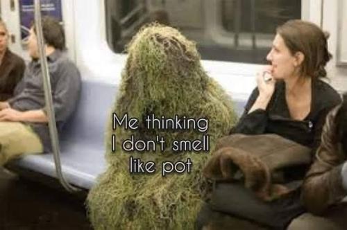 Pot