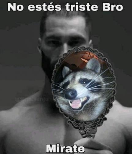 September 4, 2024