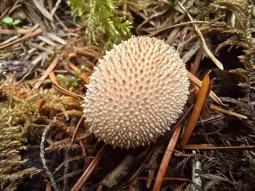 be4020f8-1d5d-4449-9300-3c80a82cb7c3