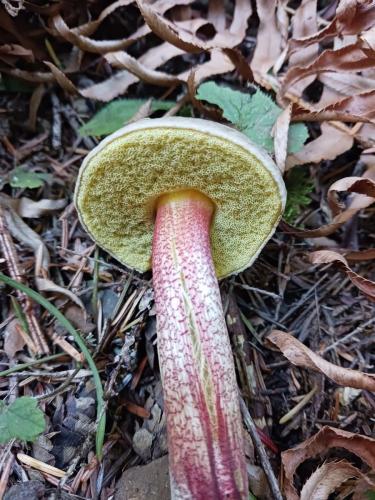 631a2179-c98b-44e8-9044-8e87fa9682f4