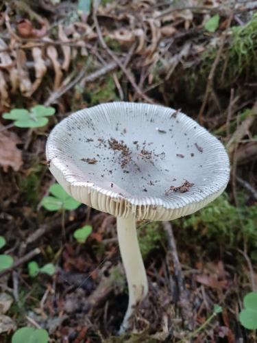 09bbc644-6473-4d60-b6db-1f117bccf851