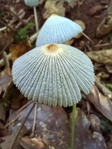 9f12b1a0-f49a-4a51-91ee-c393e622e2e8