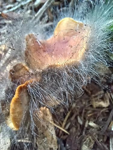 d34e700c-b4e9-4cce-8800-ba00d6dd04c1