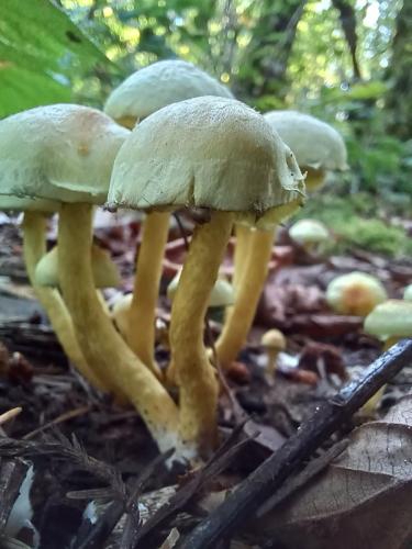 15a815a4-f9e8-4bbd-b0cf-5267f8a00ace