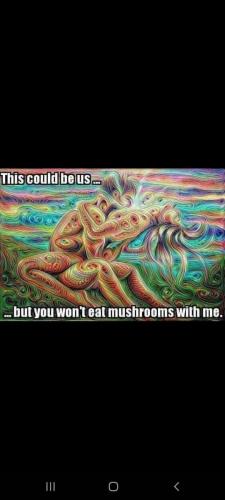 ad9a7bd9-d839-4dcd-aac8-372310e9c7c2