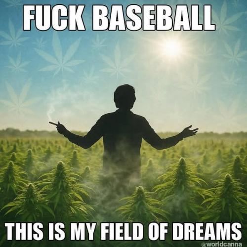 Dreams