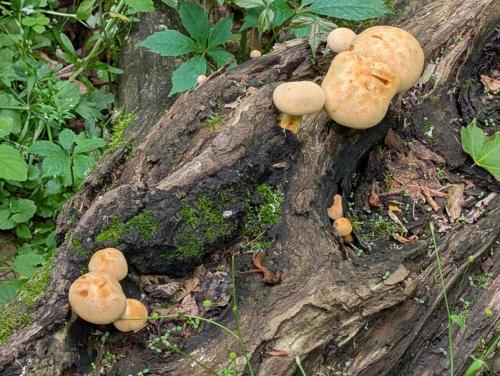 048dd4a5-0d86-4d98-afa1-2536fc4f9dbf