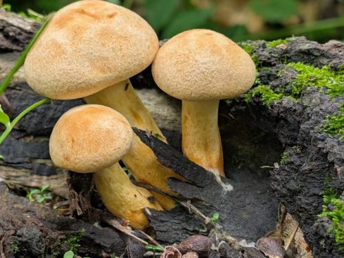 0b6e4396-f460-47bb-b4ef-1b54b95cc8f4