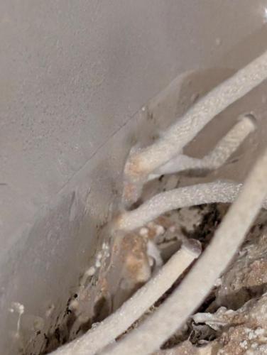 e9076192-fbbb-4a89-ad0c-cc60fbf9af32