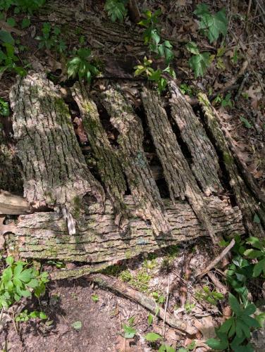 d2963597-3728-4860-a584-36c487167b38