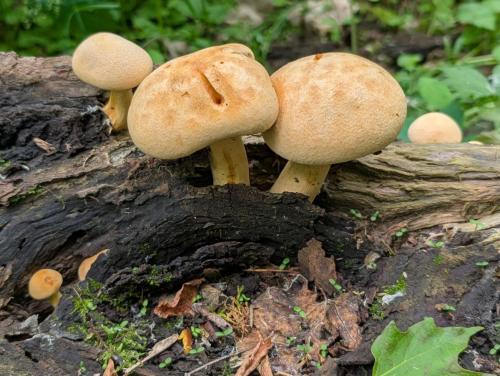 f3329053-c5be-4d66-a012-aa0a3e381273