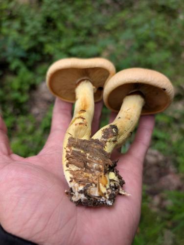 6000cc49-b3b7-4d18-ab9a-60c2a15877b5