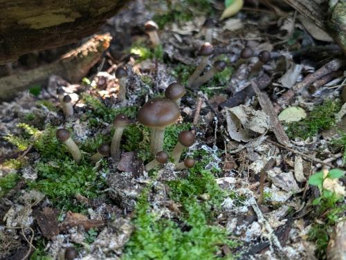 e67c20ff-a771-4ecc-a191-8a6b4ef6fdf3