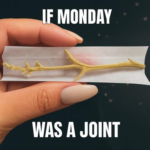 Monday Monday