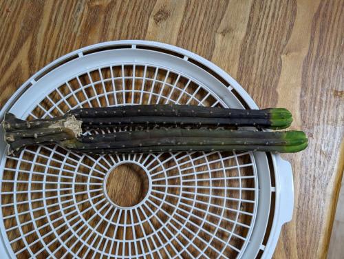 da5b0397-5541-4c03-a862-f342185af223