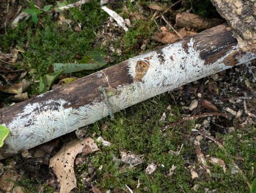 47d1a1a8-42ad-4404-a4af-6c186d2dcca1