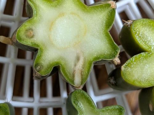 dfa69a3d-e2d7-4331-a206-f8ddab0e8852