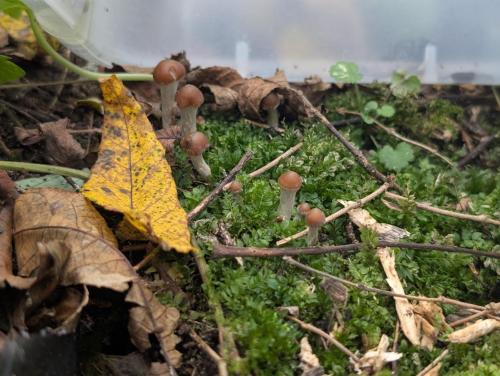 86e3b0f2-8c08-479c-bdef-dd1f721065ef