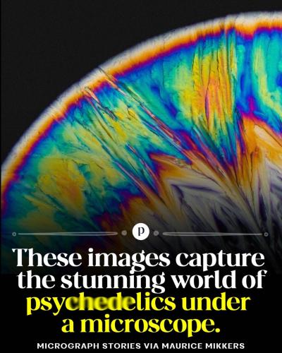 Psyche under the microscope