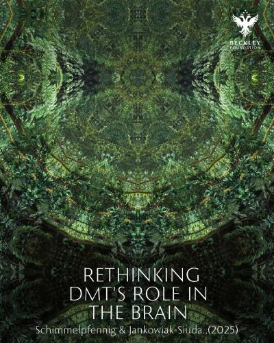 Rethinking DMT 2025