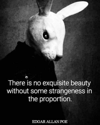 Exquisite Beauty