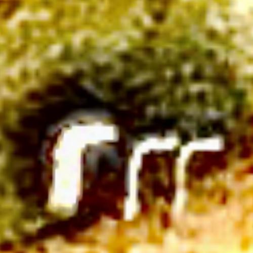 Inseyed