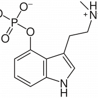 RolandDechain19