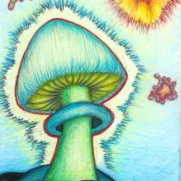 psilocybin_mushroom