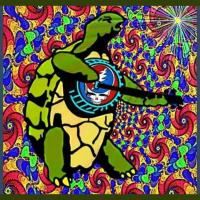 DayRebel422
