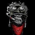 Nab_trippy