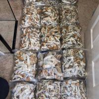 MUSHROOMS44