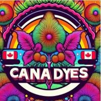 canadyes