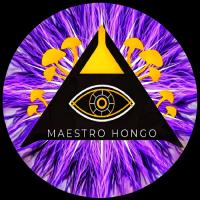 Maestro Hongo