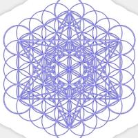 Spirotribe