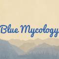 BlueMycology