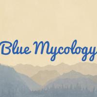 BlueMycology