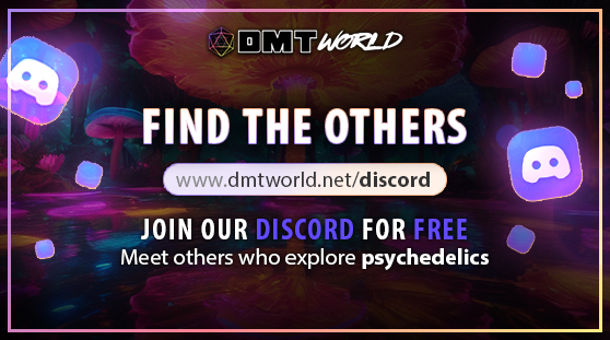 DMT World Discord